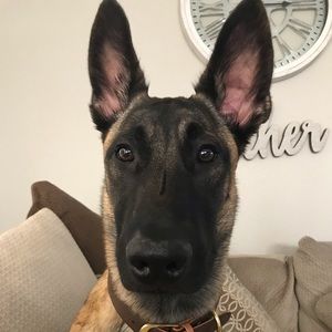 Meet your Posher, Cheryl